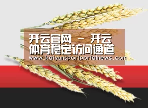 开云官网 - 开云体育稳定访问通道 - 内容更新