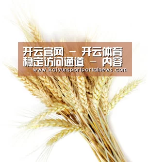 开云官网 - 开云体育稳定访问通道 - 内容更新