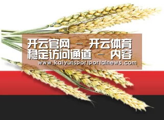 开云官网 - 开云体育稳定访问通道 - 内容更新