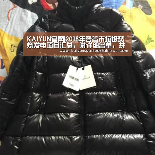 KAIYUN官网|2018年各省市垃圾焚烧发电项目汇总,附详细名单,共计441座(图1) 开云体育