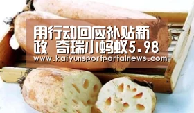 用行动回应补贴新政 奇瑞小蚂蚁5.98万起售:开云入口(图4) 开云体育